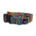 Load image into Gallery viewer, Frankalicious Martingale Collar
