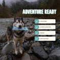 Load image into Gallery viewer, Seafood Adventure Ready Bar
