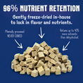 Load image into Gallery viewer, Freeze Dried Fish Medley Recipe for Dogs
