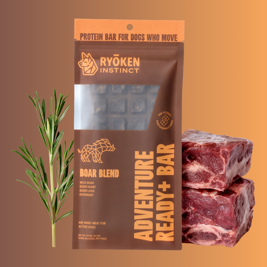 Ryoken Boar Adventure Ready Bar