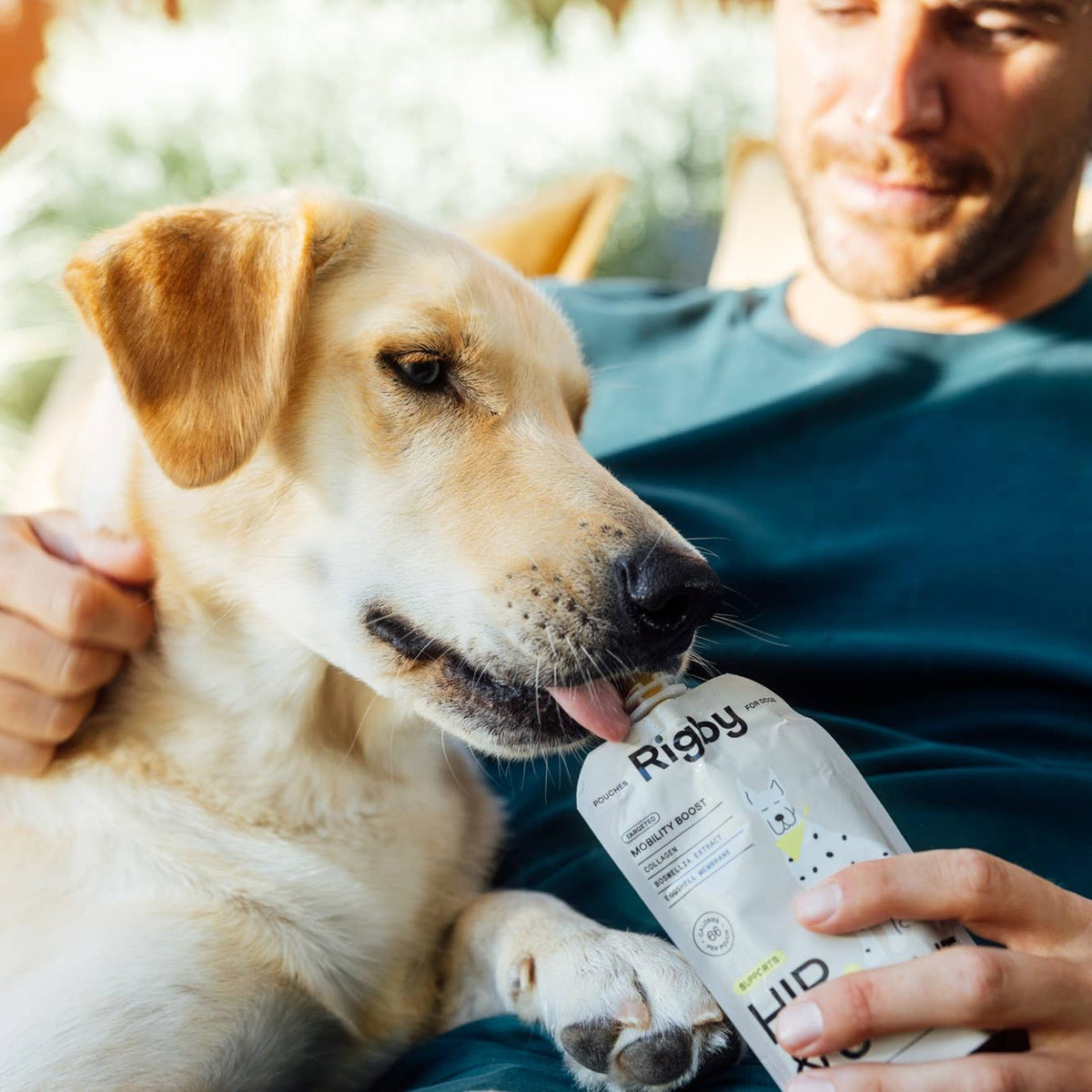 Rigby Gut Health Squeeze Pouch for Dogs