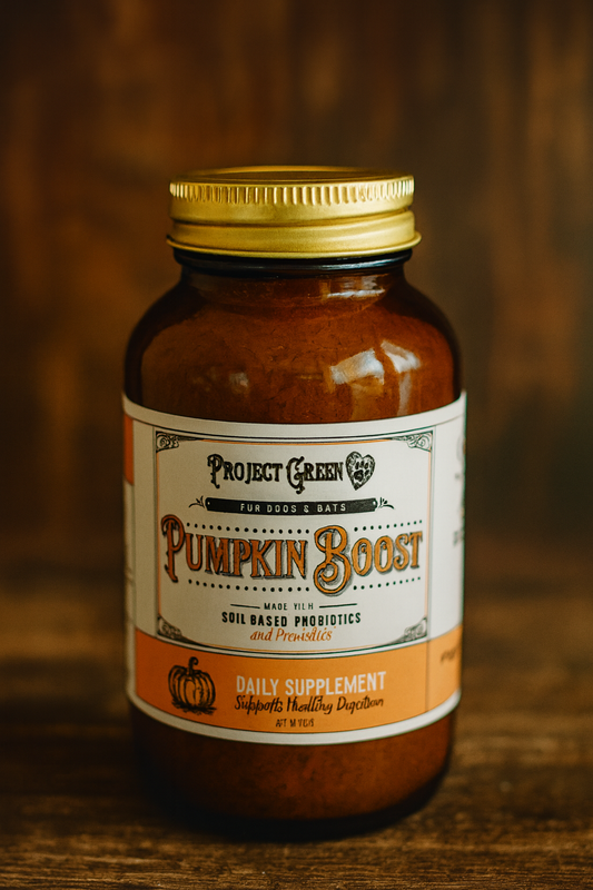 Pumpkin Boost