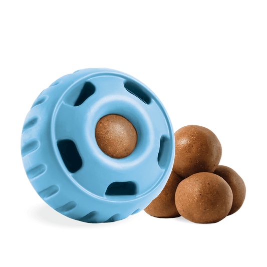 Pupsicle - Limited Edition Blue