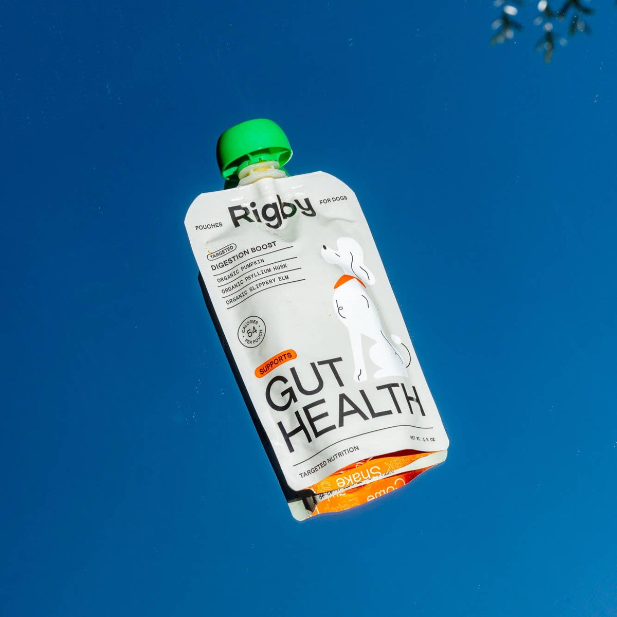 Rigby Gut Health Squeeze Pouch for Dogs