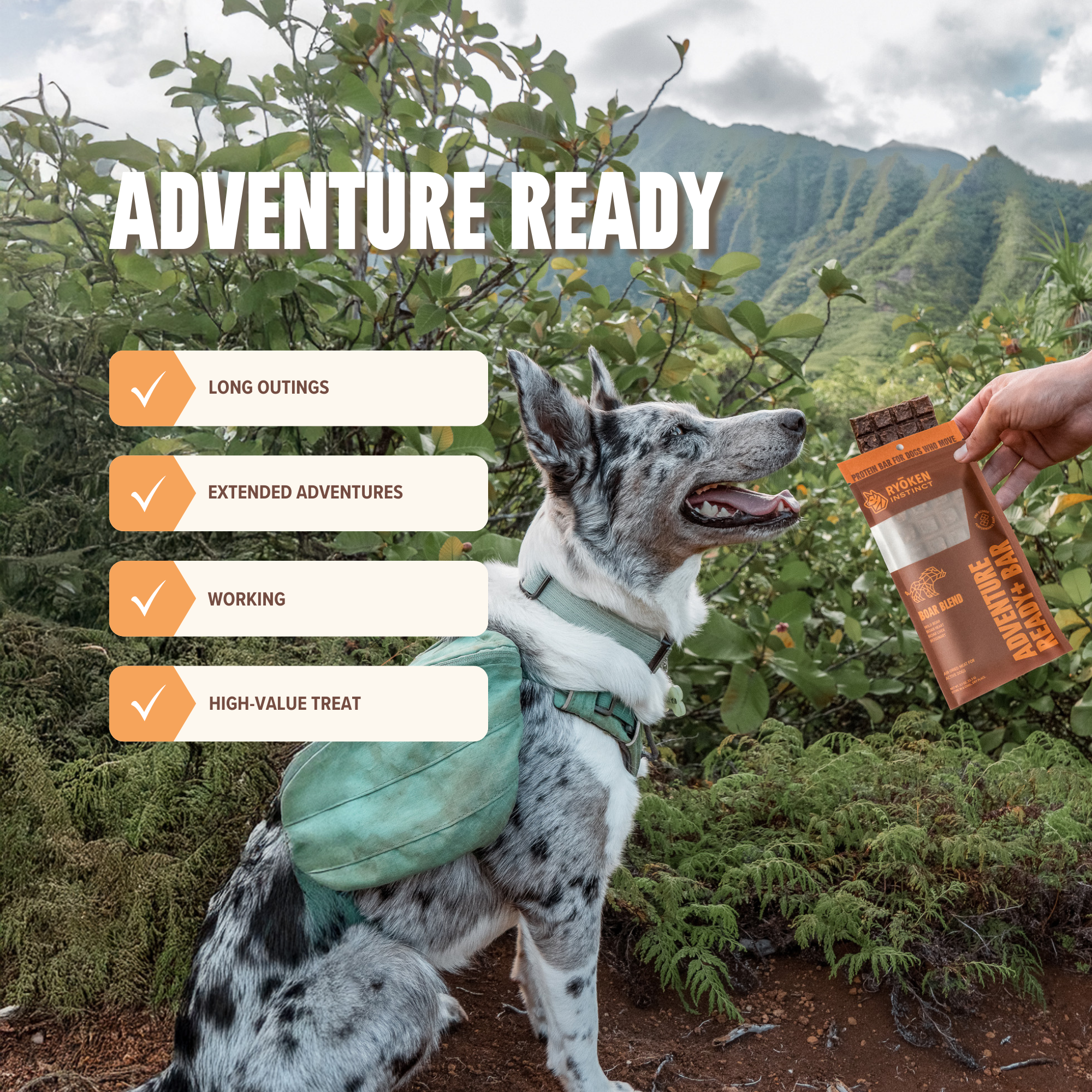 Ryoken Boar Adventure Ready Bar