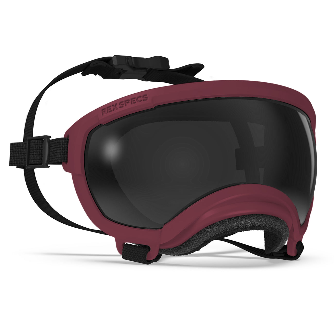 Gafas Rex Specs para perros