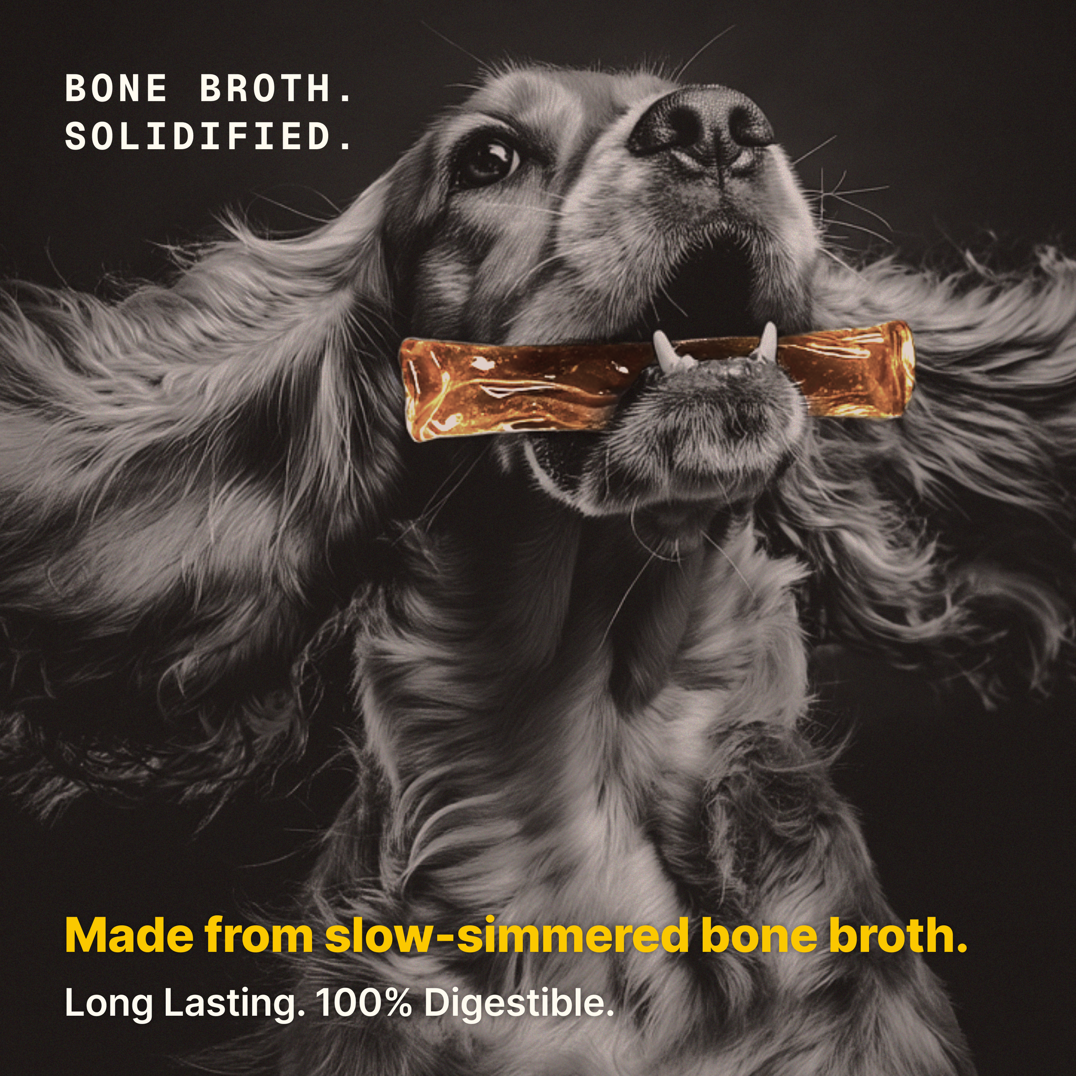 Gnu Bone Broth Chew