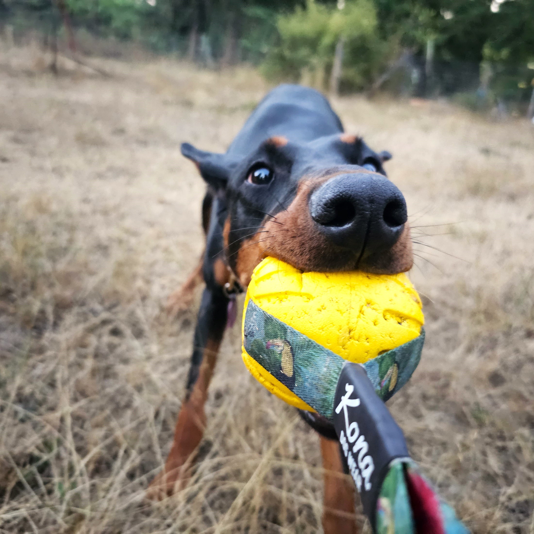 Juguete remolcador Tundra