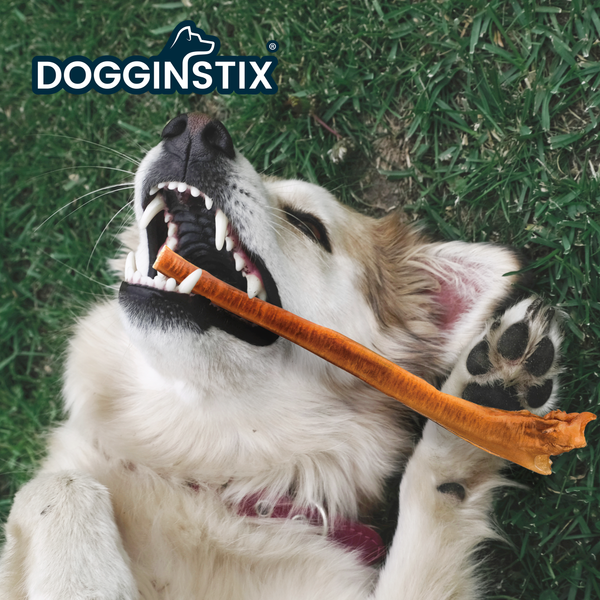 Bully Sticks - Jumbo