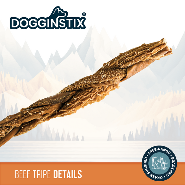 Braided Beef Tripe Chew
