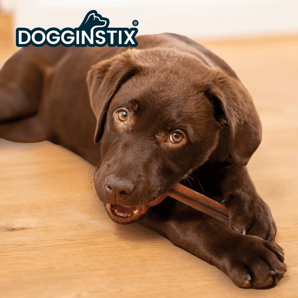 Bully Sticks - Standard