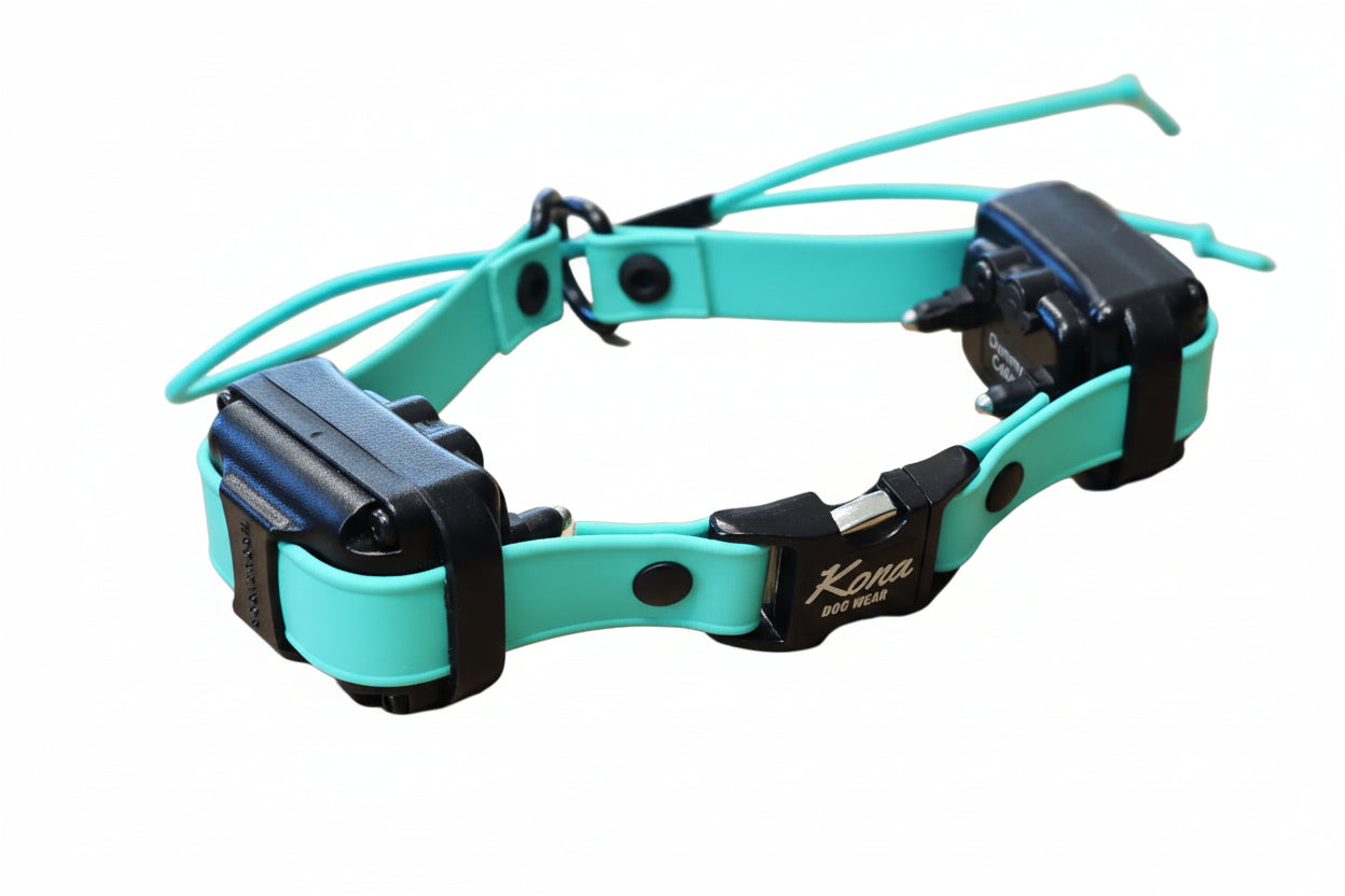 Teal and black dog collar with a brand logo on a white background