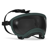 Gafas Rex Specs para perros