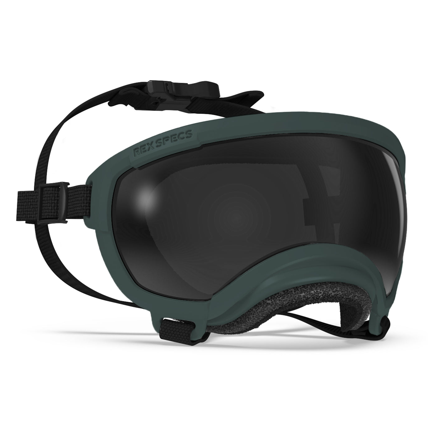 Gafas Rex Specs para perros