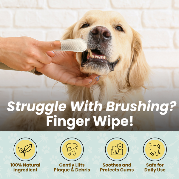 CocoPup Wipes
