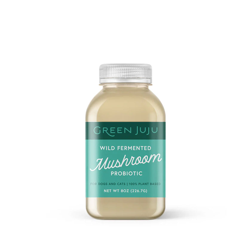 Green Juju Wild Fermented Mushroom Probiotic