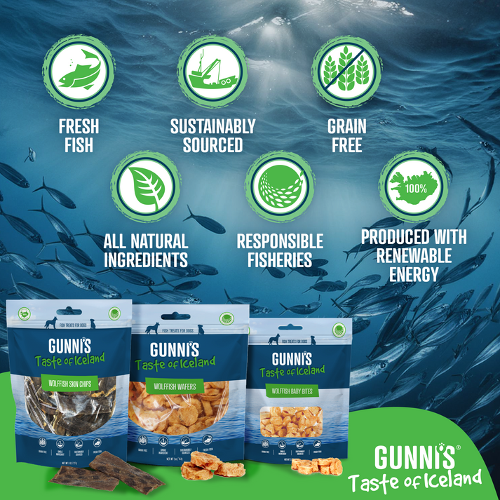 Gunni's Wolffish Baby Bites