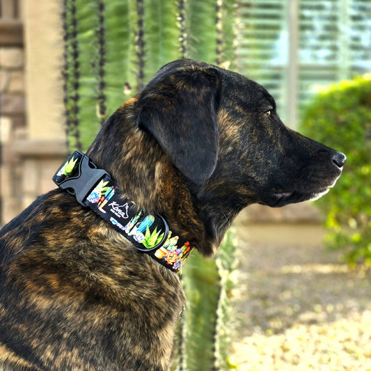 Collar con hebilla de saguaro