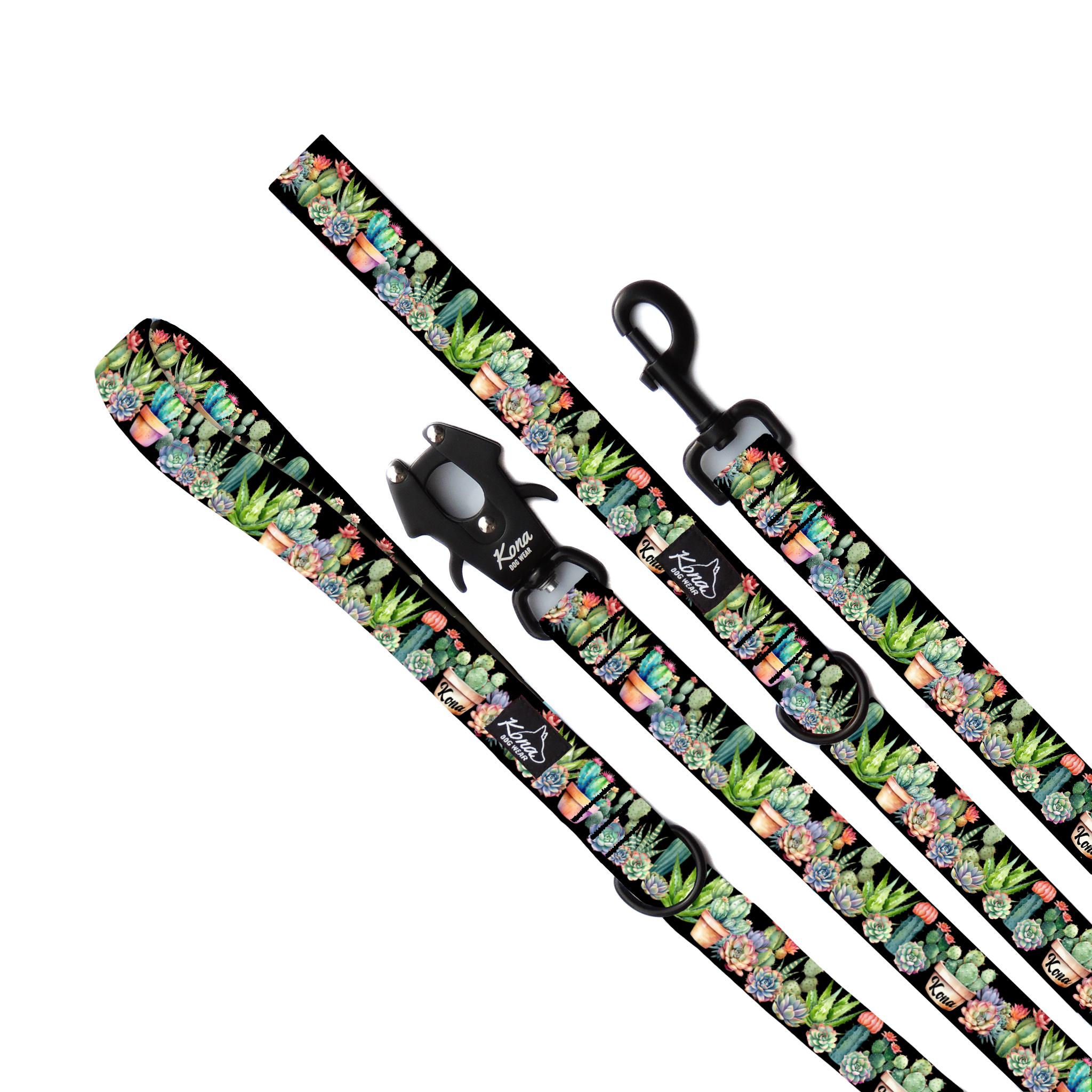 Saguaro Leash