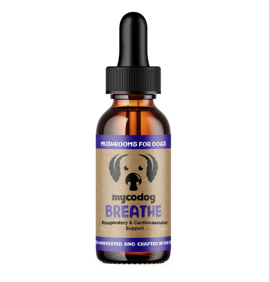 Breath: Respiratory & Cardiovascular Support - Mycodog