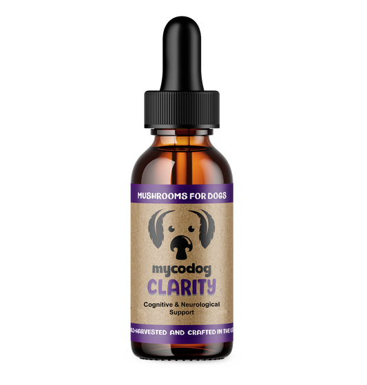 Clarity: Cognitive & Neurological Support - Mycodog