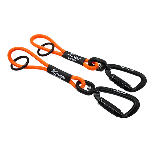 Prong Backup Safety Clip