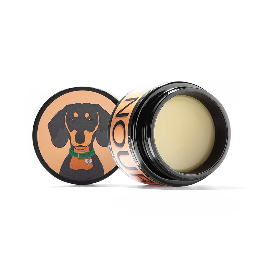 Nourish Balm: Skin & Paw Care - CBD Dog