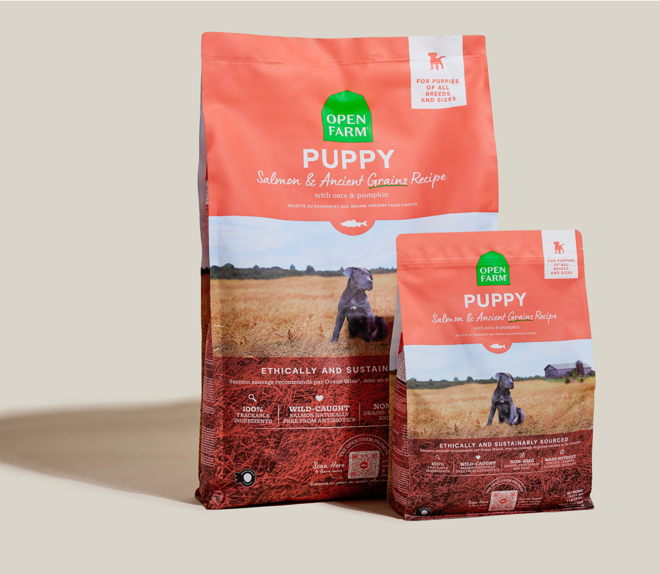 Open Farm Ancient Grain Puppy Salmon