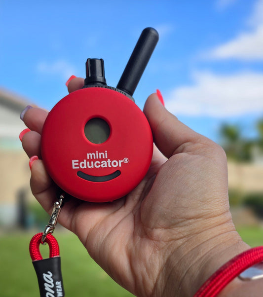E-Collar Remote Skin