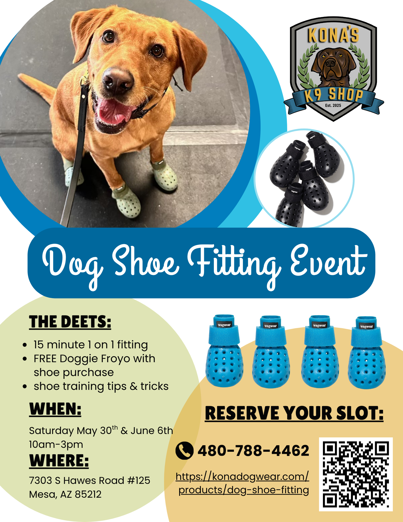 Dog Shoe Fitting