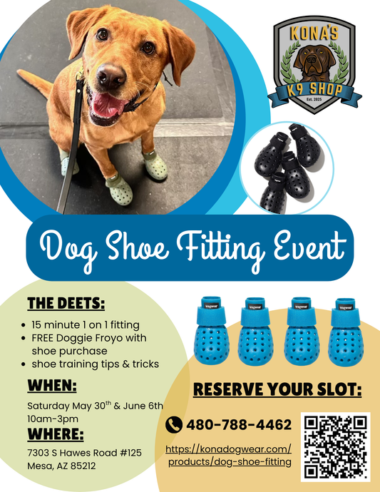 Dog Shoe Fitting