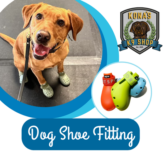 Dog Shoe Fitting