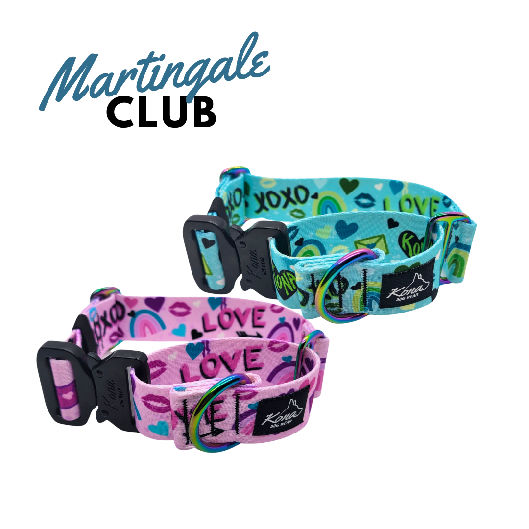 Club Martingale du Mois