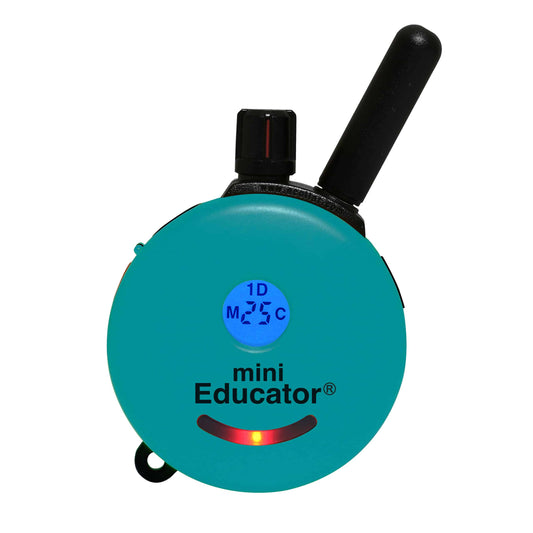 E-Collar Remote Skin