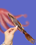 Cargar la imagen en la vista de la galería, Wild Caught Whole Prey Squid Chips
