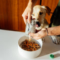 Load image into Gallery viewer, Rigby Gut Health Squeeze Pouch for Dogs
