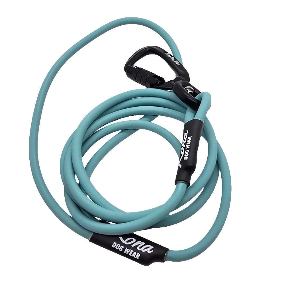 BioThane Rope Leash