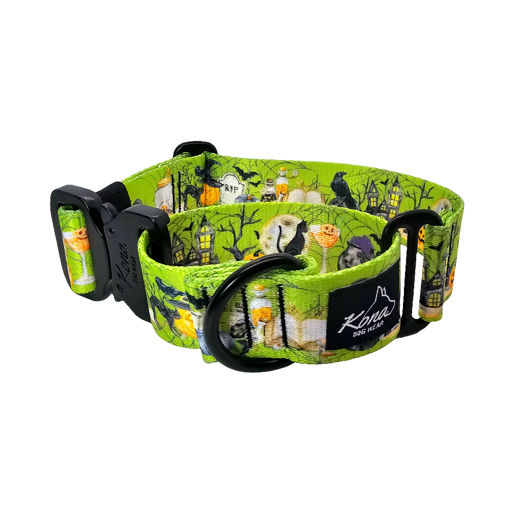 Bewitched Martingale Collar