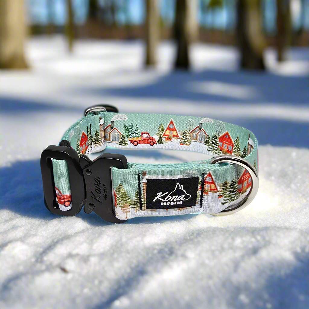 Snow Day Buckle Collar