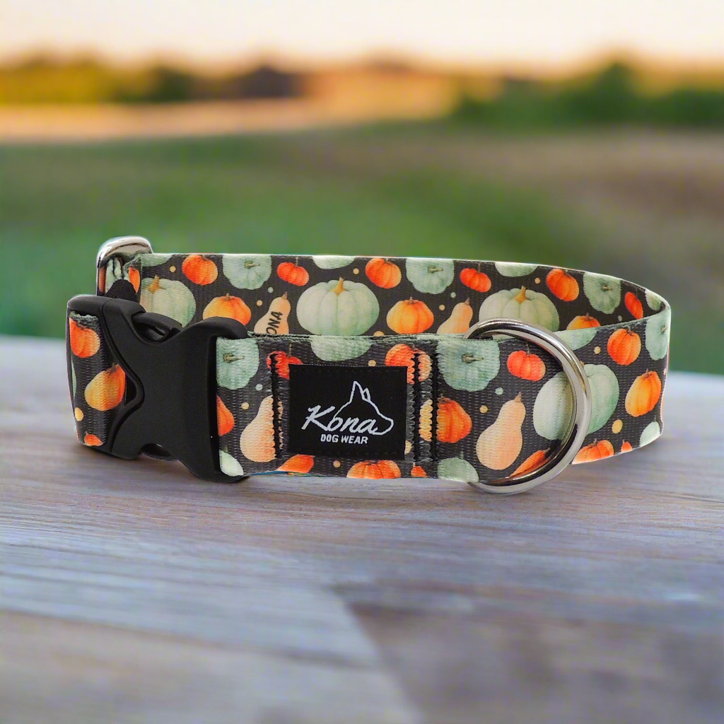 Gourdgeous Buckle Collar