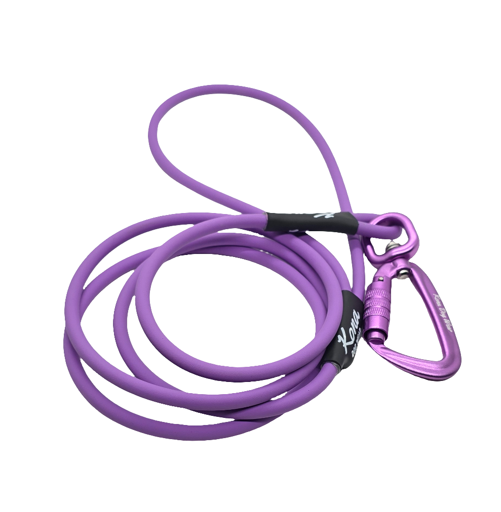 BioThane Rope Leash