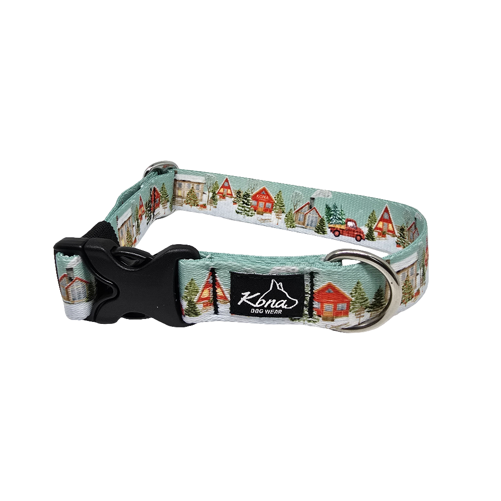 Snow Day Buckle Collar