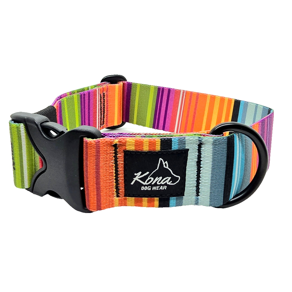 Fiesta Buckle Collar