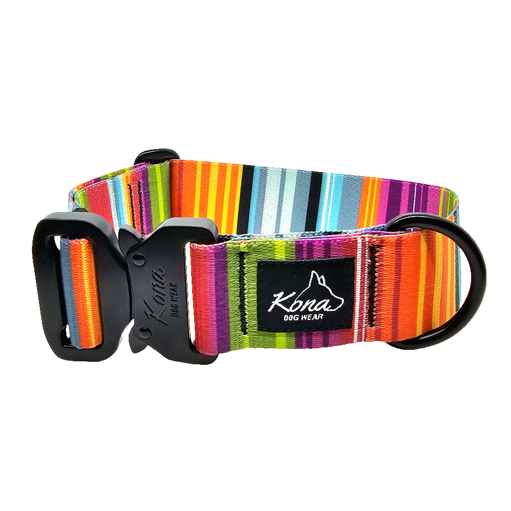 Fiesta Buckle Collar