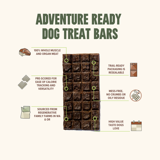 Ryoken Venison Adventure Ready Bar