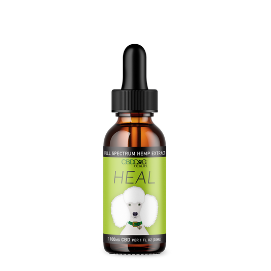 Heal - CBD Dog