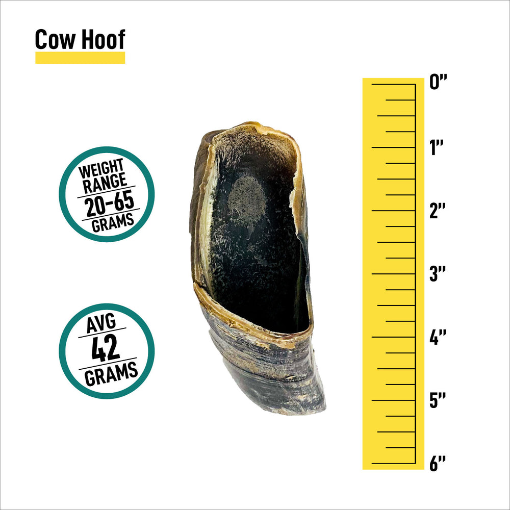 Cow Hooves