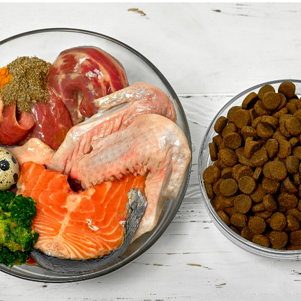 Canine Nutrition Consultation