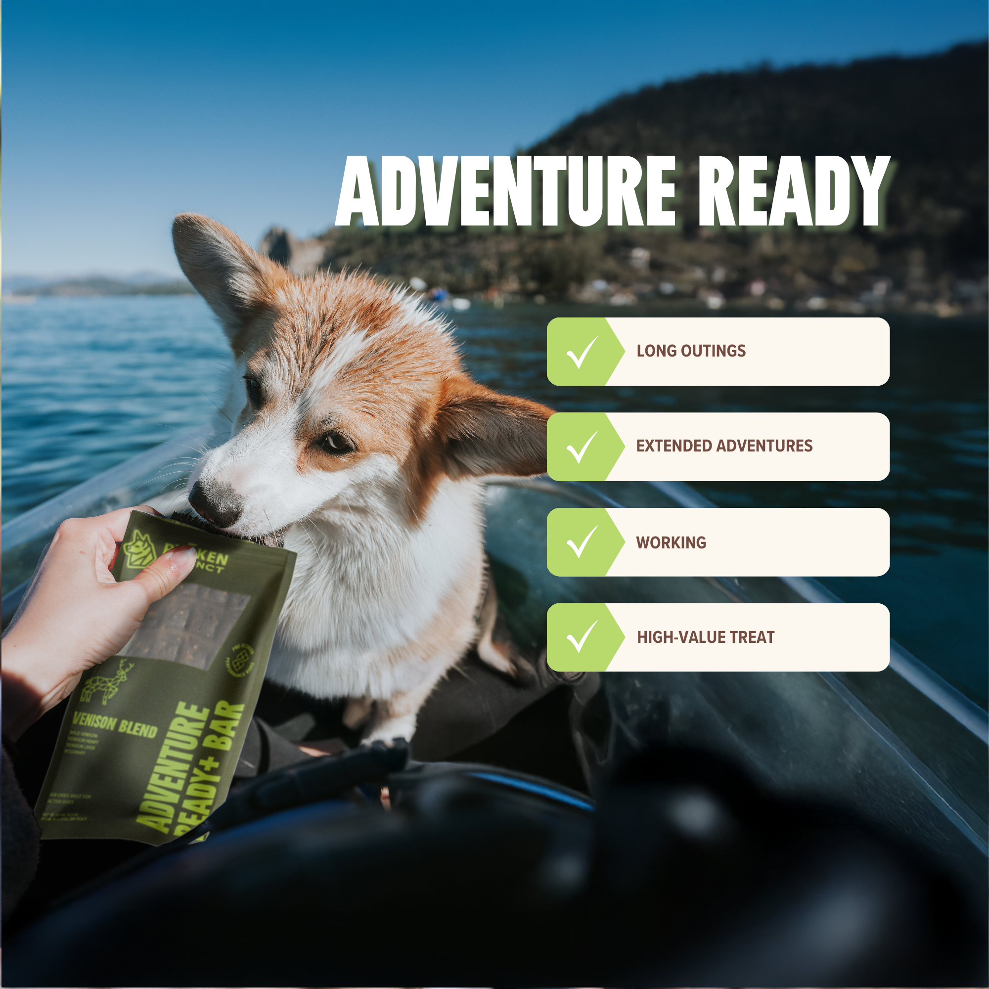 Ryoken Venison Adventure Ready Bar