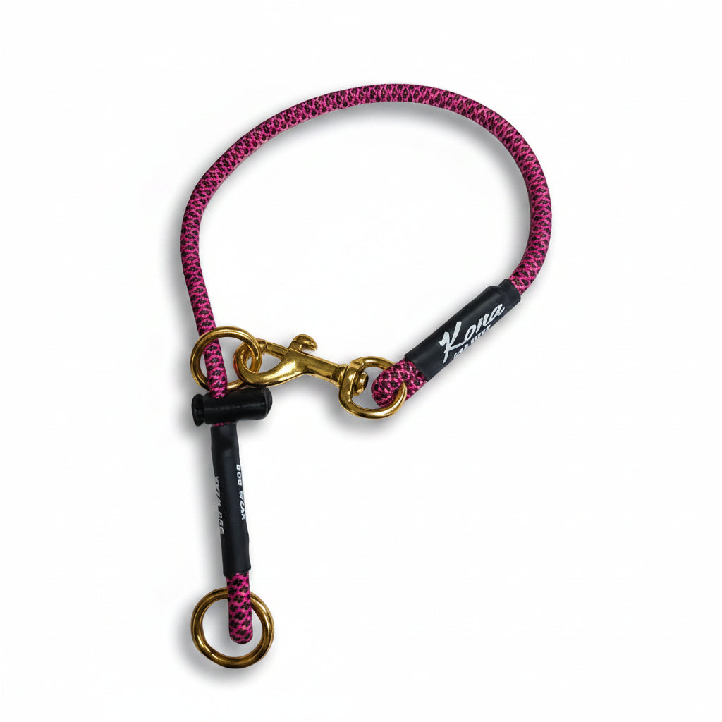Training Slip Collar - DDC - Limited Editions